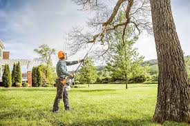 Best Hazardous Tree Removal  in Bethany, OR