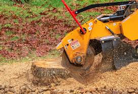 Best Tree Mulching  in Bethany, OR