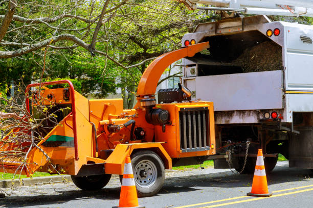 Best Soil Testing and Treatment  in Bethany, OR
