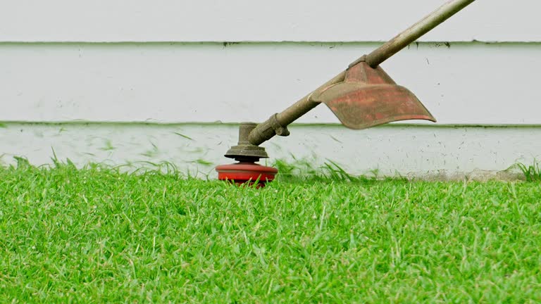 Best Grass Overseeding  in Bethany, OR