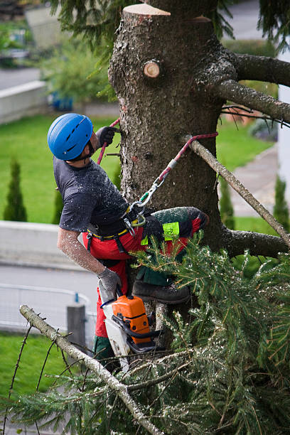 Best Firewood Processing and Delivery  in Bethany, OR
