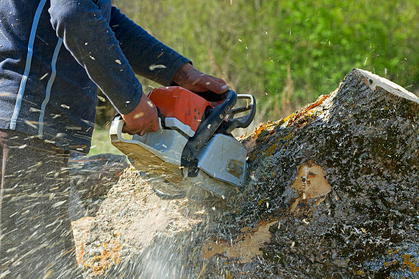 Best Lawn Drainage Solutions  in Bethany, OR